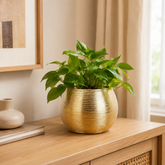 Luxury Gold Striped Ceramic Flower Pot