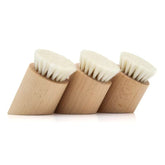 Beech Wood Wool Body Brush