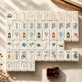 American Mahjong Game Set – Crystal Acrylic Mahjong Tiles